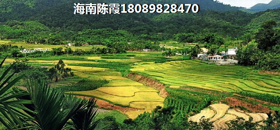 碧桂园星湖湾周边纸得买新房推荐~